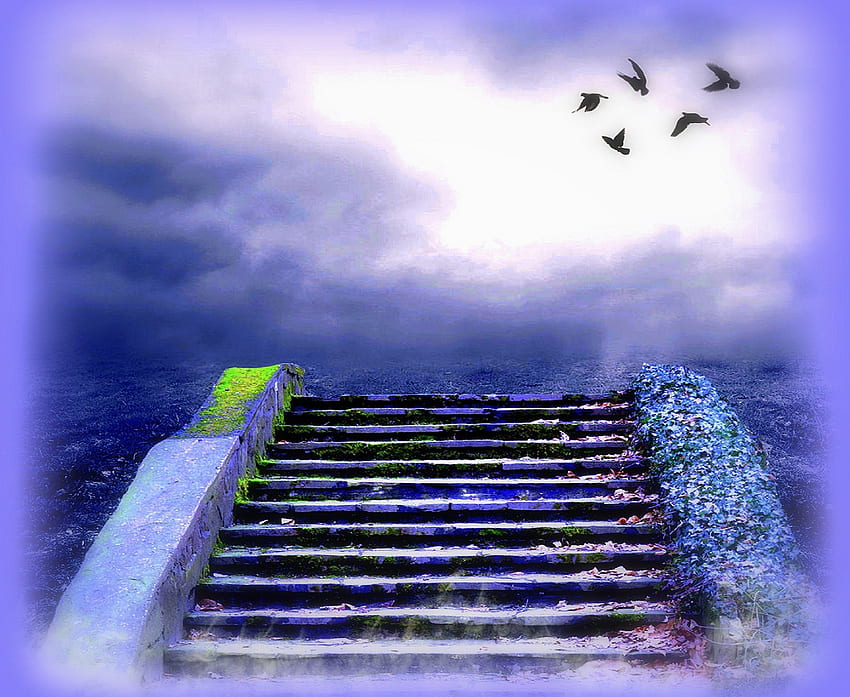 *The Beautiful Staircase*, stock , exterior, colors, beautiful, premade BG, backgrounds, staircase, creative pre-made, step stones, stairs, cool, clouds, flying birds, nature, sky HD wallpaper