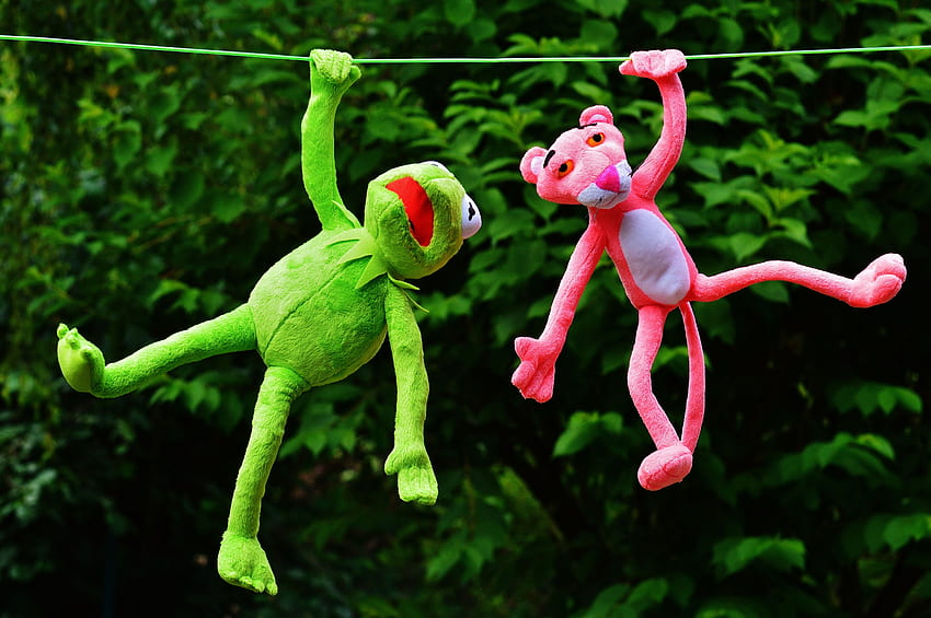 Shallow Focus graphy of Pink Panther and Kermit HD wallpaper