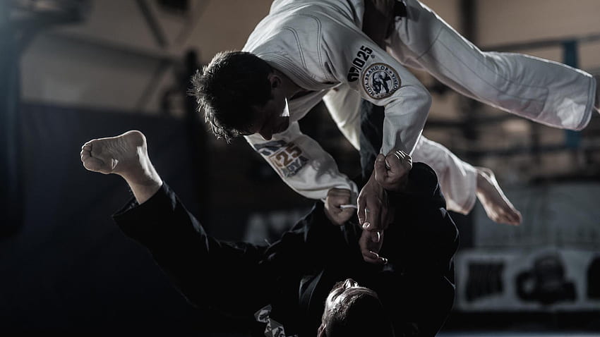 Brasilianisches Jiu-Jitsu, Hapkido HD-Hintergrundbild