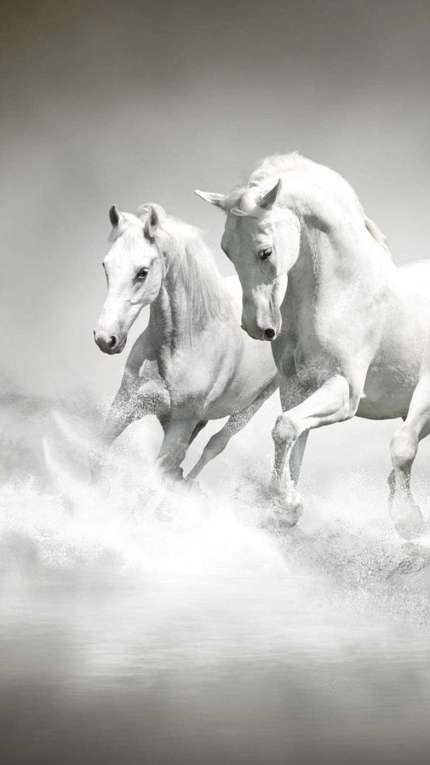 White Horses, Majestic, Running, Water Splash, Beach for iPhone 7, iPhone 6 HD phone wallpaper