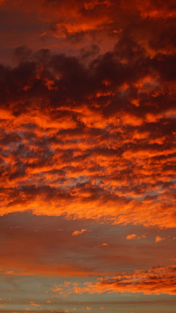 HD wallpaper: afterglow, red sky, red sunset, orange sunset, caribbean,  dusk
