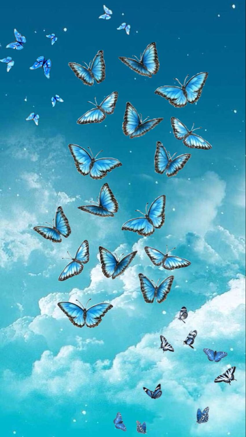 Azul / синьо . Синя пеперуда, момичешки iPhone, сладко синьо, сладко бебе пеперуда HD тапет за телефон