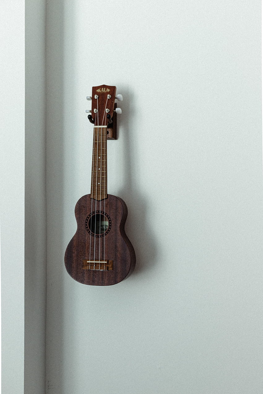 Musica, muro, strumento musicale, ukulele, archi Sfondo del telefono HD
