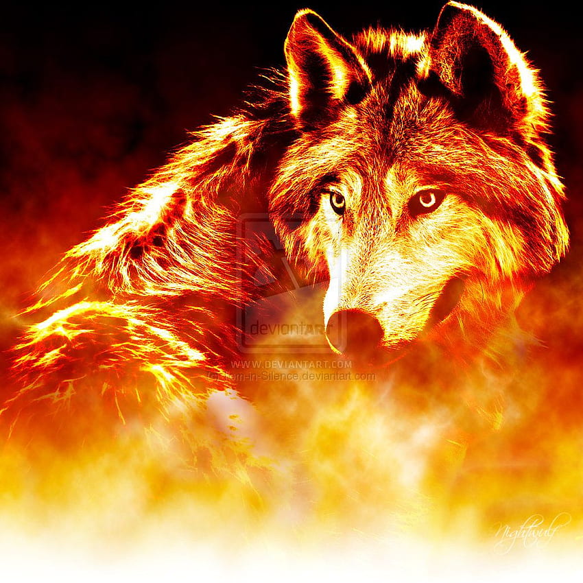 Loup bleu et rouge, loup rouge cool Fond d'écran de téléphone HD