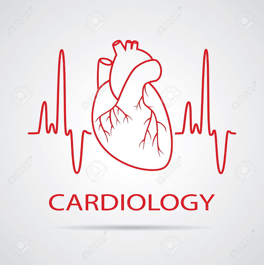 Kardiologi, Ahli Jantung wallpaper ponsel HD