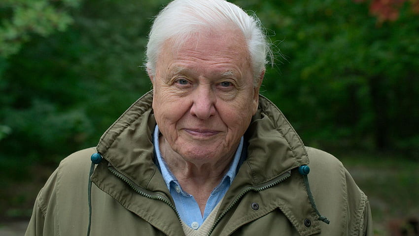 David Attenborough: A Life on Our Planet' Review: Ruin and Regrowth - The New York Times HD-Hintergrundbild