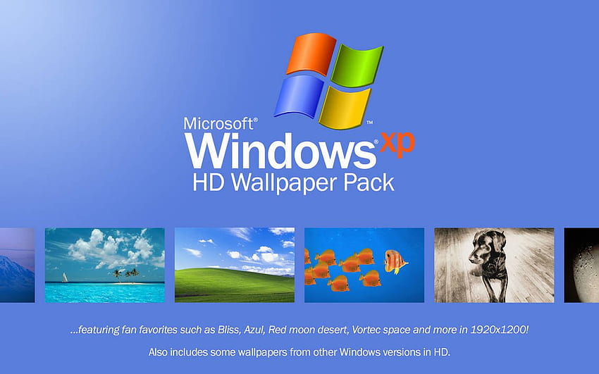 Windows XP Pack 3.1 がリリースされました。 宇宙飛行士、ビーチ、2000 年のスノー ツリー、ファン パックなどが登場！ : R WindowsXP、Windows ビーチ 高画質の壁紙