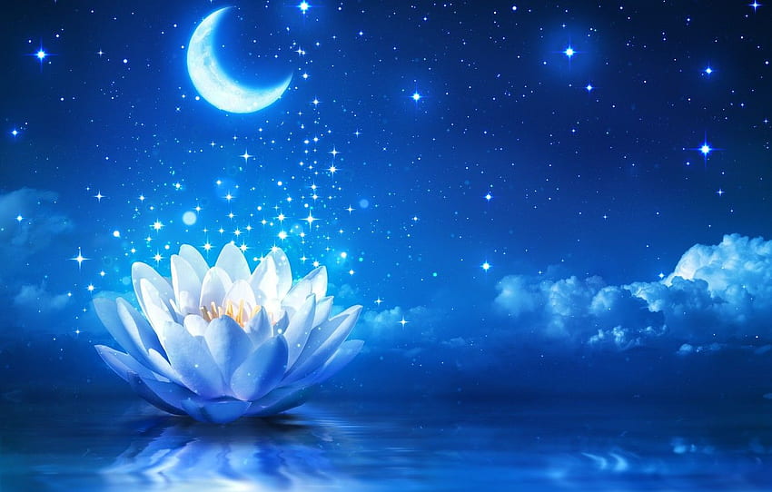 Blume, Wasser, Lichter, Lotus, Blume - Seerose und Mond, kleine blaue Lotusblume HD-Hintergrundbild
