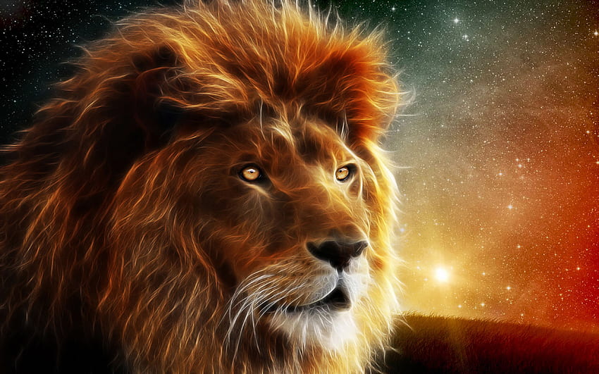 Lion, Strong Lion HD wallpaper