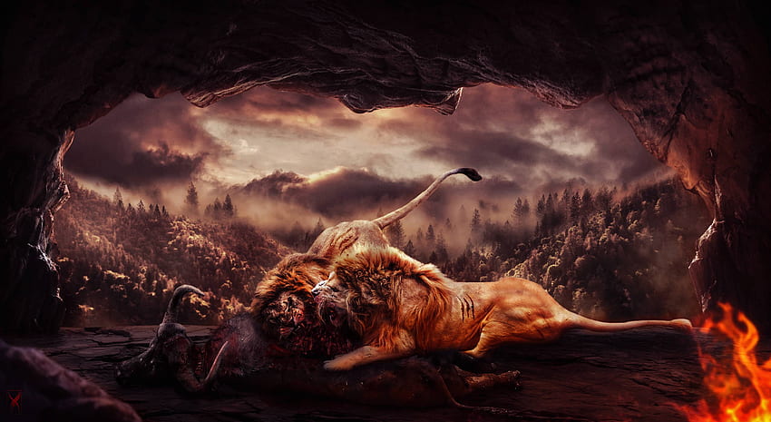 Lions 3145×1720 Cave Hunger Fight, Lion Anime HD wallpaper