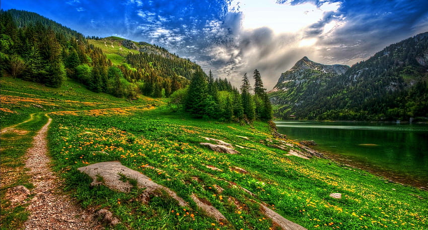 ธรรมชาติ ภูมิทัศน์ ทะเลสาบ ภูเขา ป่า ดอกไม้ป่า ฤดูใบไม้ผลิ ต้นสน เส้นทาง สวิตเซอร์แลนด์ R / และพื้นหลังมือถือ วอลล์เปเปอร์ HD