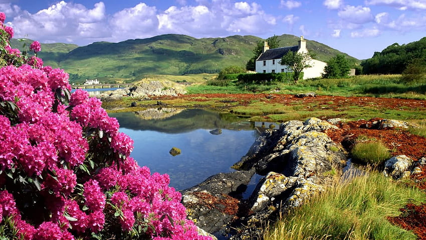 bellissimo cottage, verde, paesaggio, fiori primaverili, bellissimo, cottage, montagne, laghetto Sfondo HD