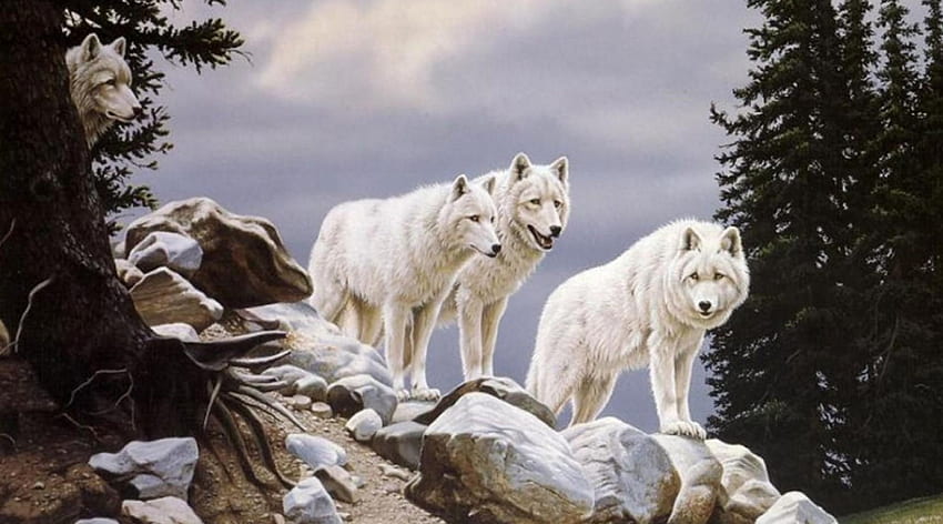 Wolves, howling, wolf, art, predator HD wallpaper