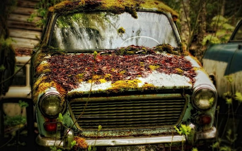 Autumn rust, wreck, car, rust, , , season, leaves, old, pic, autumn, wall HD wallpaper