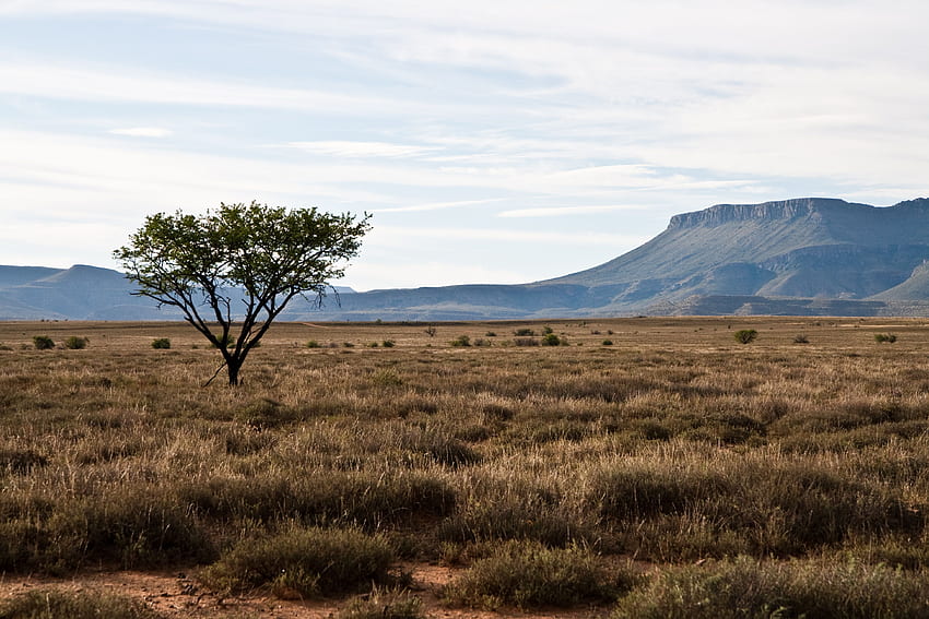 African Landscape, South African Landscape HD wallpaper