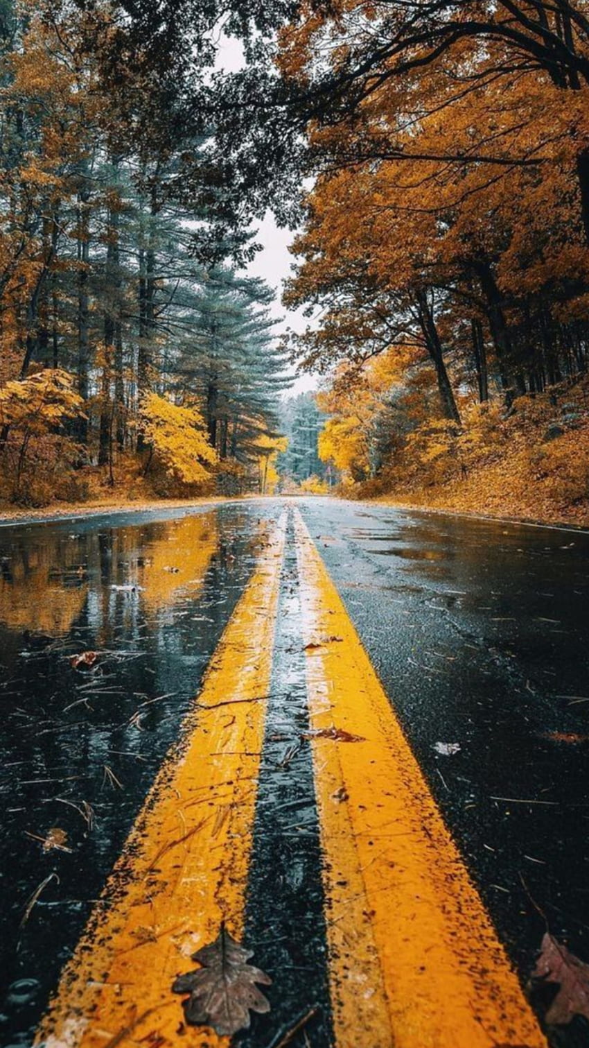 Rain Autumn - & Background, Rainy Autumn HD phone wallpaper