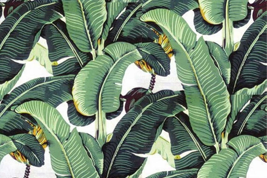 Mobil ve Tabletiniz için Martiniques ikonik muz yaprağı [] iç mekanınıza tropikal trend. Tropikal Palmiye Yaprağı'nı keşfedin. Tropikal Yapraklar, Palmiye Yaprakları HD duvar kağıdı