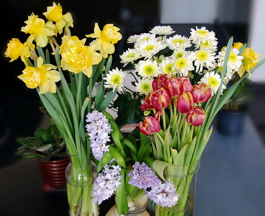 Flowers, Tulips, Camomile, Narcissussi, Bouquets, Vases HD wallpaper