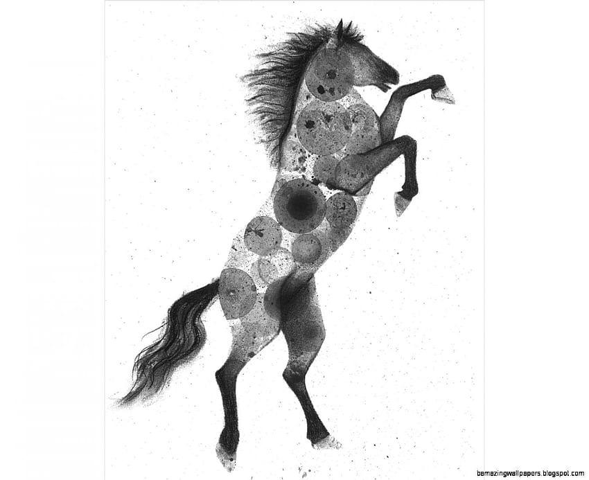 Black wild horse standing vector sketch Stock Vector  Adobe Stock