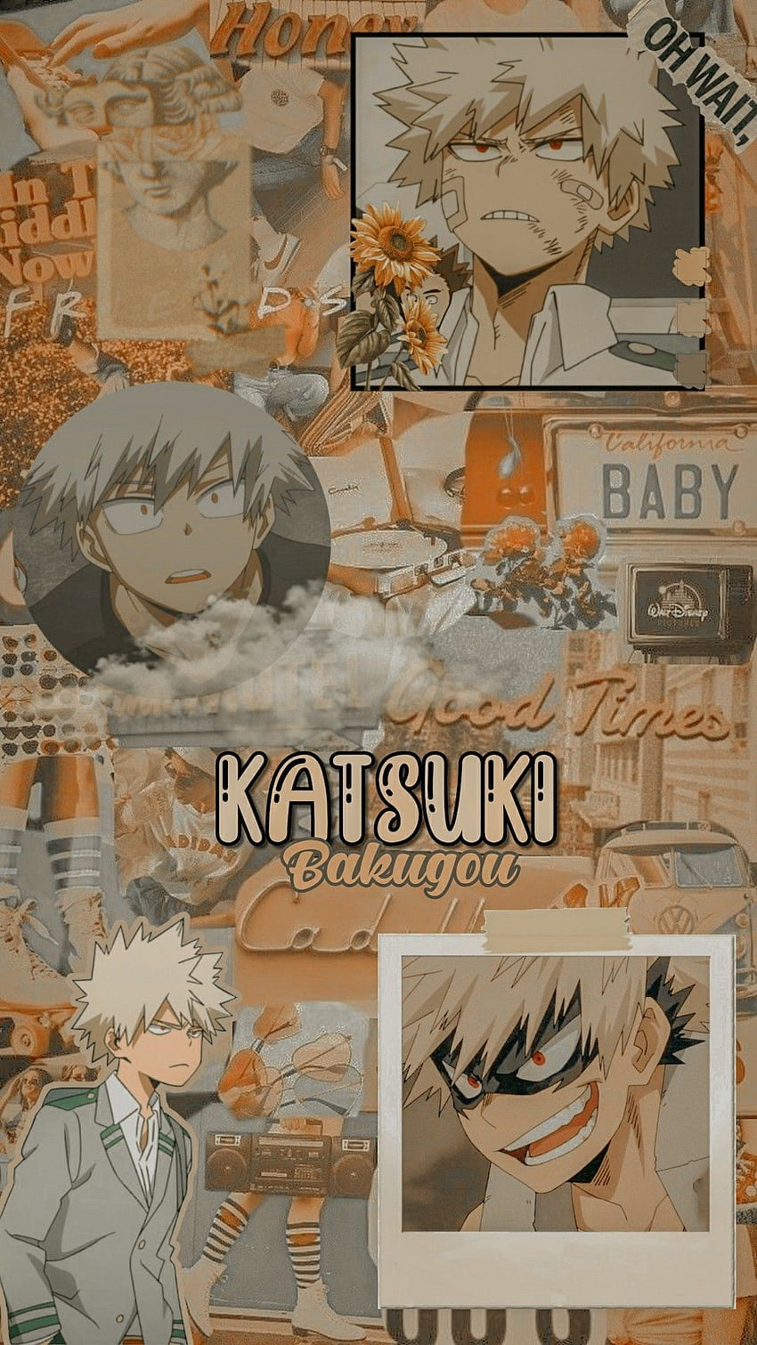 Bakugou katsuki aesthetic . Animation character drawings, Cute panda , Hero HD phone wallpaper