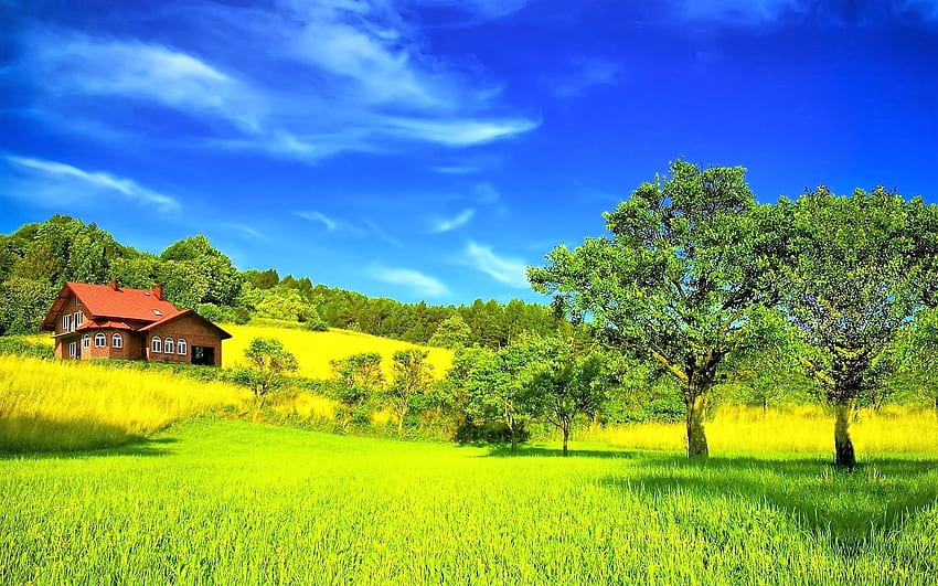 maison dans le vert, herbe, ciel, pelouse, maison Fond d'écran HD