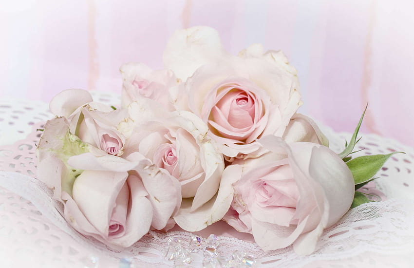 фон, тъмно розово, покана, носталгия, носталгия, розово, романтика, романтично, рози, шаби шик, реколта, сватба. HD тапет