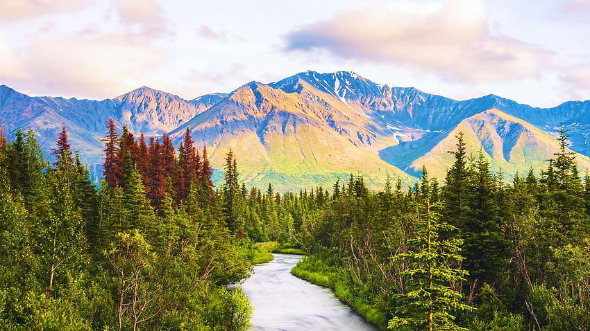 Alaska Mountain Range near Denali National Park, river, clouds, trees, sky, usa HD wallpaper