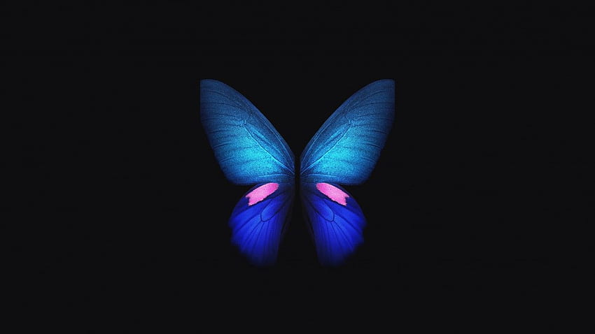 Samsung Galaxy Fold, Blue, Butterfly, Stock, , Creative Graphics,. for iPhone, Android, Mobile and HD wallpaper