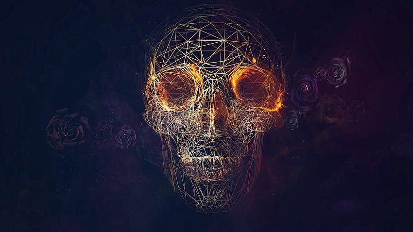 Abstract, Roses, Lines, Skull, Geometry HD wallpaper