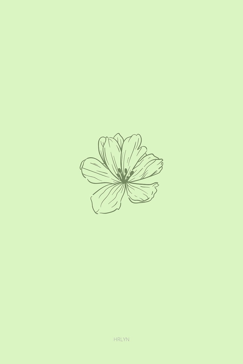 flower green minimalist. Mint green , Sage green , Mint green aesthetic, Green Minimalist Aesthetic HD phone wallpaper