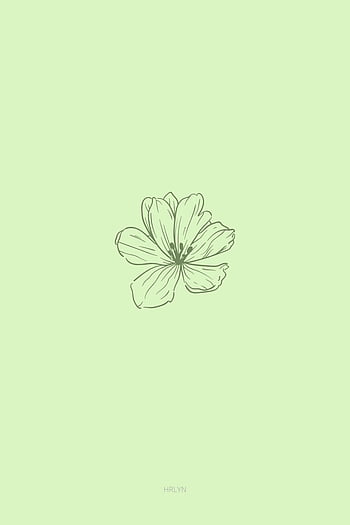 Spring aesthetic green HD wallpapers | Pxfuel