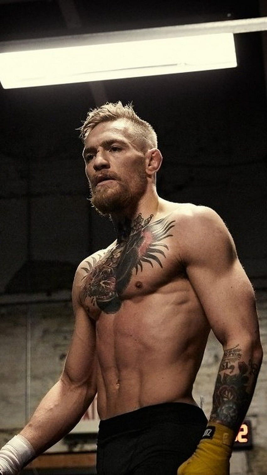 Conor McGregor For Mobile. iPhone HD phone wallpaper