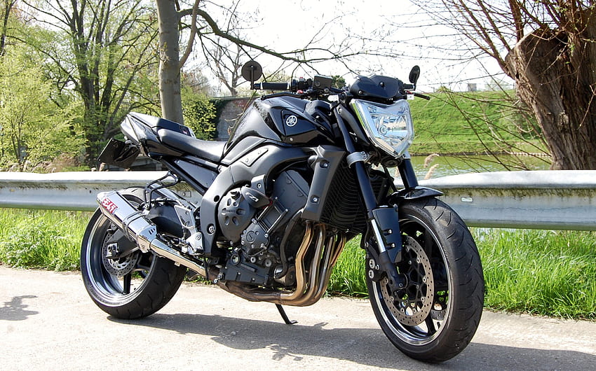 2012 Yamaha FZ1