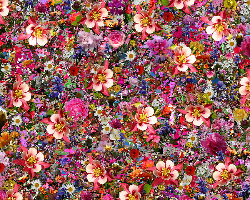 psychedelic, Flower / and Mobile Background, Psychedelic Flowers HD wallpaper