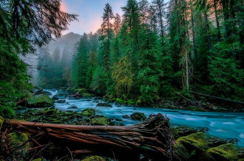 Река, природа, гора, дърво HD тапет