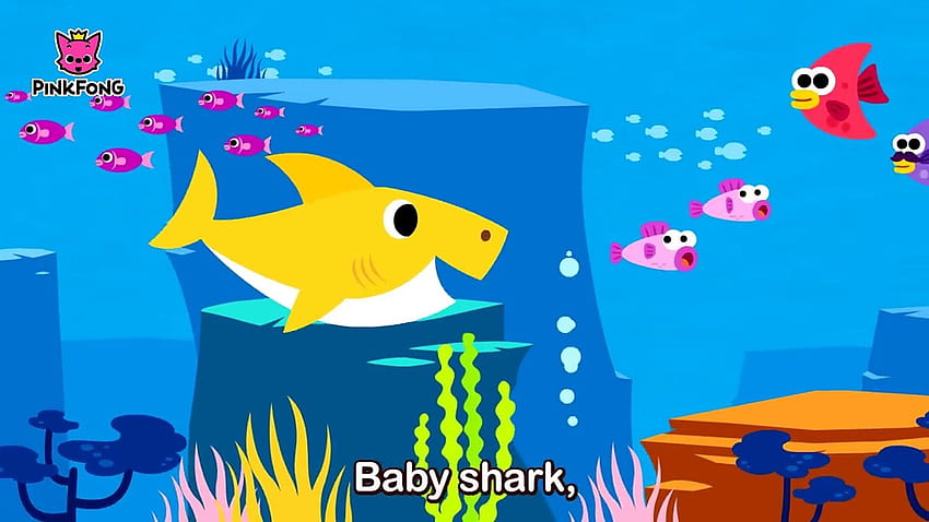 Baby Shark _ Animal Songs _ PINKFONG Canciones para niños R93ce4FZGbc fondo  de pantalla | Pxfuel