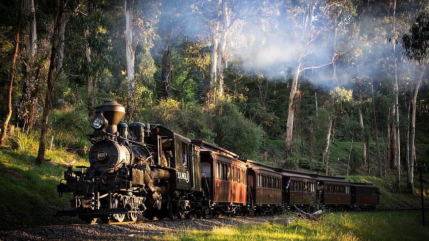 Landschaft, Zug, Eisenbahn, Natur, Dampflokomotive, Australien, Bäume, Wald, Rauch, Gras, Sonnenlicht / und beweglicher Hintergrund, dunkler Zug HD-Hintergrundbild
