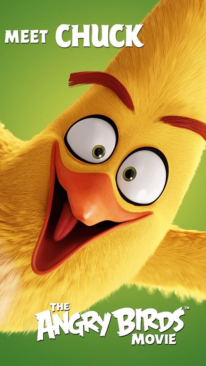 Chuck from Angry Birds. Angry birds movie, Angry birds, Angry, Angry Birds Funny HD phone wallpaper