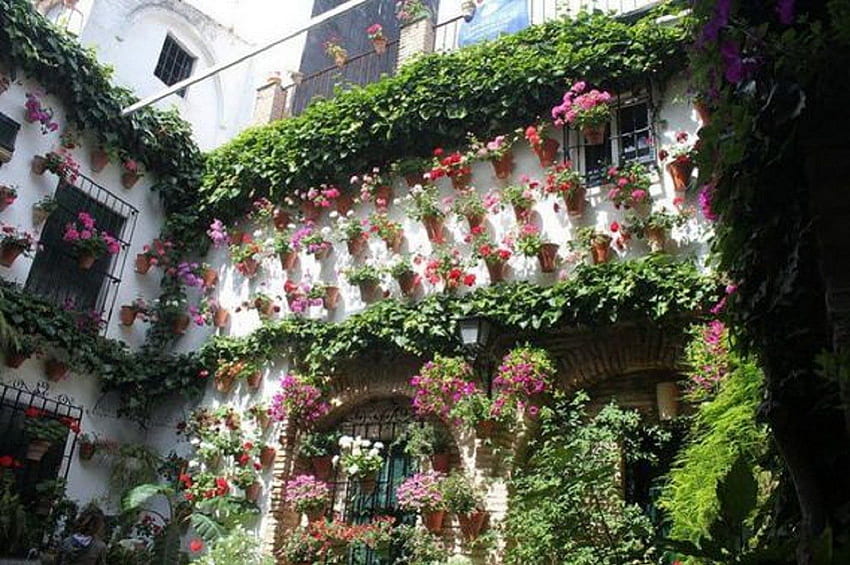 Cordoba's Secret Garden, patio, architecture, flowers, secret garden, houses HD wallpaper