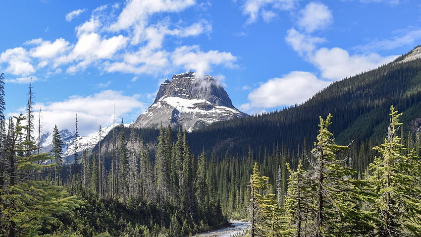 Hari yang cerah di Taman Nasional Yoho, British Columbia, lanskap, awan, pohon, langit, kanada, gunung Wallpaper HD