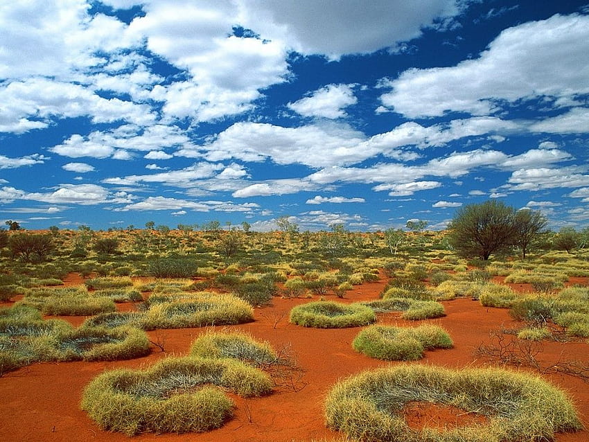 Entroterra. Subaru Outback, Outback Psylocke e Outback, Outback australiano Sfondo HD