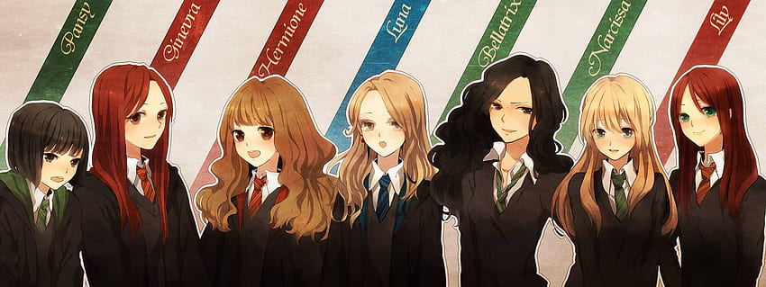 Harry Potter Anime, Harry Potter Cartoon HD wallpaper | Pxfuel