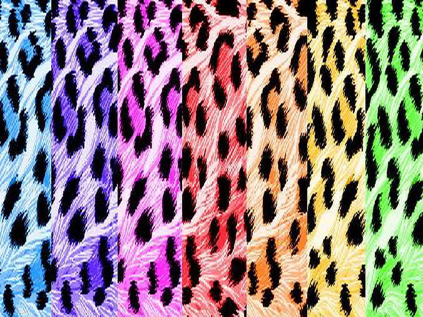 Neon Rainbow Leopard Print - Novocom.top, Neon Animal Print HD wallpaper