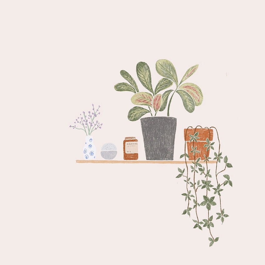 Indoor plants in 2020. Plant illustration, Indoor plants, Illustration HD phone wallpaper
