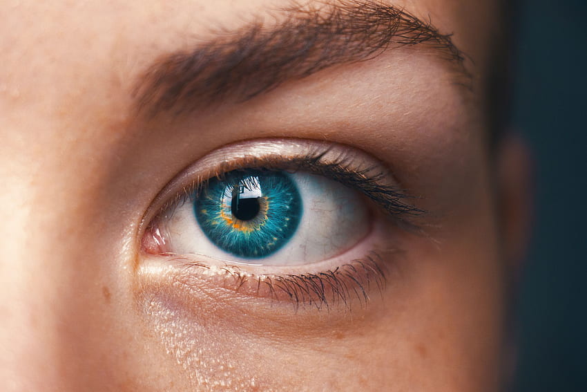Blue Eyed, Blue-Eyed, Eye, Pupil, Eyelash, Eyelashes HD wallpaper