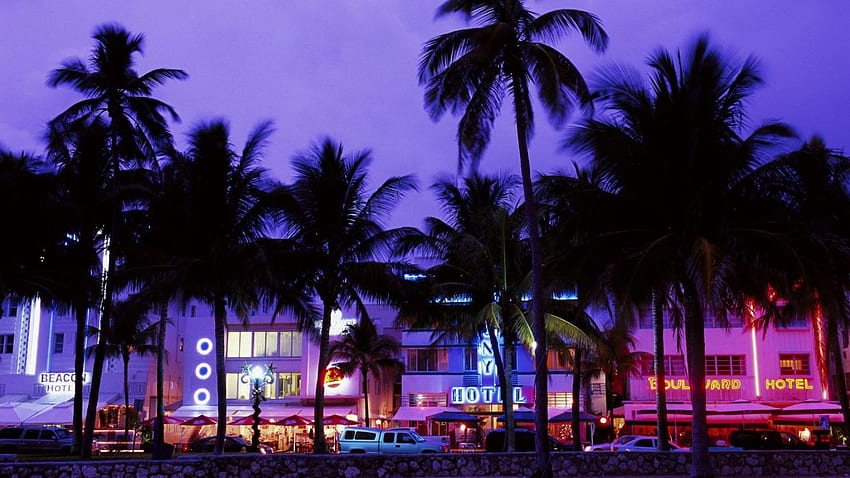 Cars Miami street lights palm trees hotels . . 252766. UP, Miami Palm Tree HD wallpaper