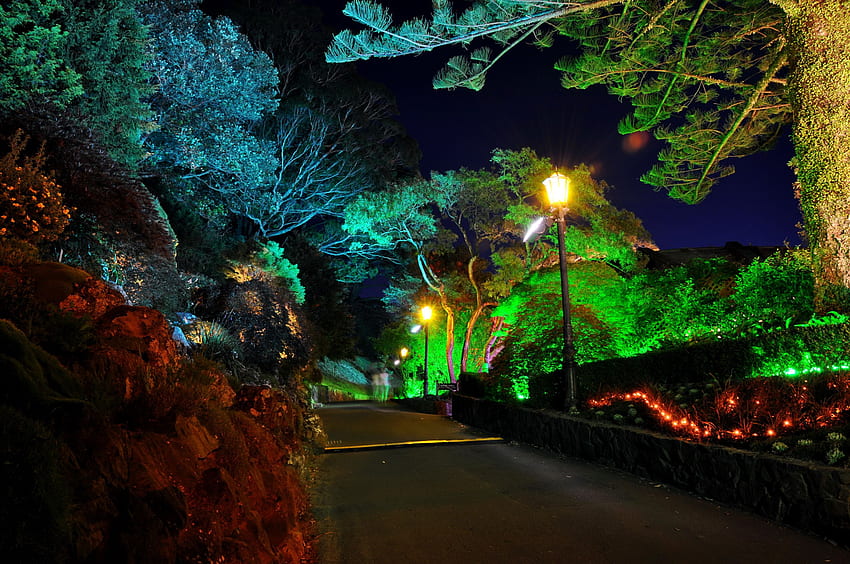 庭園 道路 ニュージーランド ウェリントン 植物園 夜 街灯 高画質の壁紙