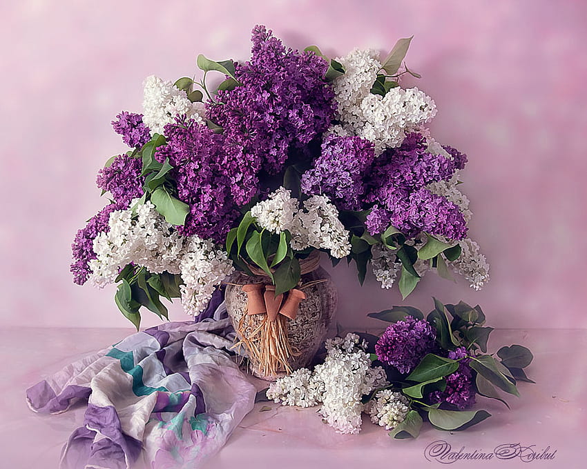 nature morte, blanc, graphie, vase, bouquet, beau, agréable, violet, pashmina, fleur, cool, fleurs, écharpe, harmonie, lilas Fond d'écran HD