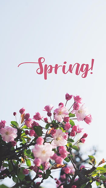 Spring Goodbye february, hello March HD wallpaper | Pxfuel