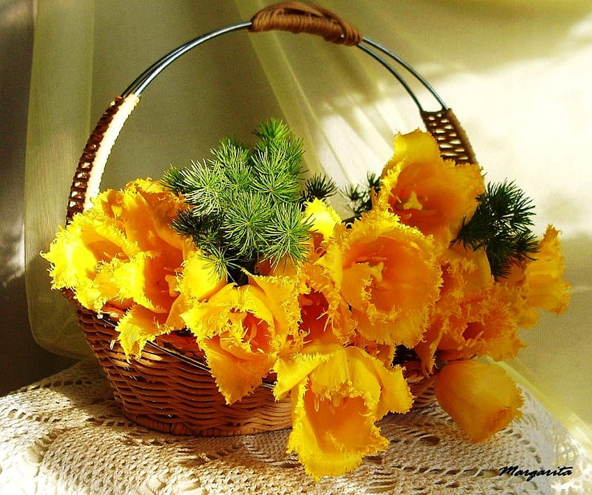 Basket with yellow tulips, colorful, table, natural, beautiful, arrangements, tulips, gift, spring, green, yellow, nature, flowers HD wallpaper
